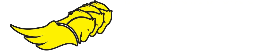 assessoria de corrida
